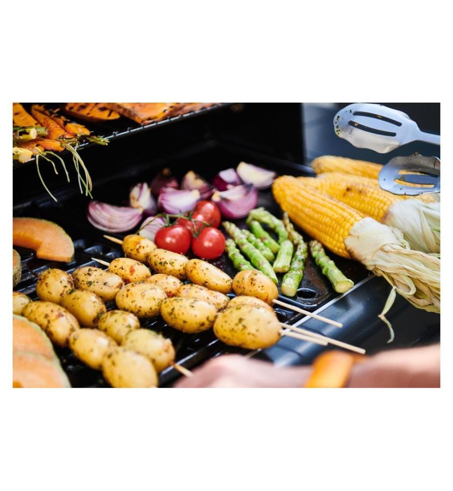 Campingaz - Barbecue au gaz Select 3 LX Plus