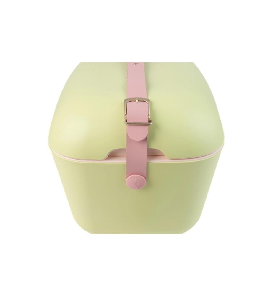 Polarbox - Retro Cooler 12 l Lime
