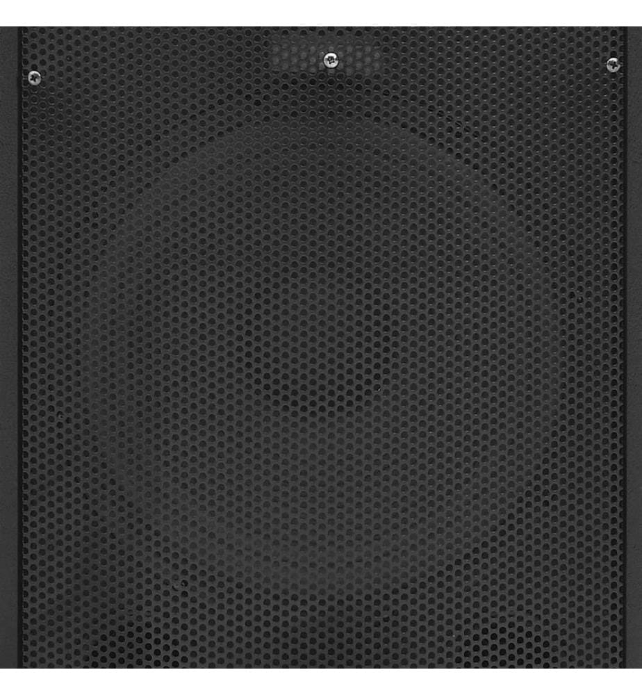Professioneller HiFi-/Bühnen-Lautsprecher Passiv 1000 W Schwarz