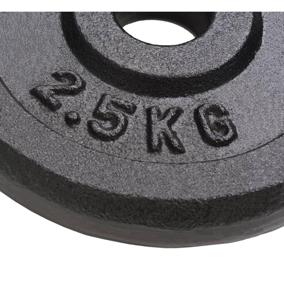 Hantelscheiben 8 Stk. 8x2,5 kg Gusseisen