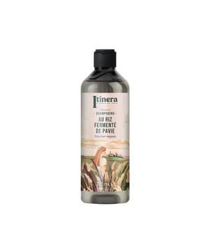 Pavia Reis Shampoo - 370ml