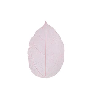 CREATIV COMPANY - Papierdekoration Laubblätter, Rosa, 20 Stück