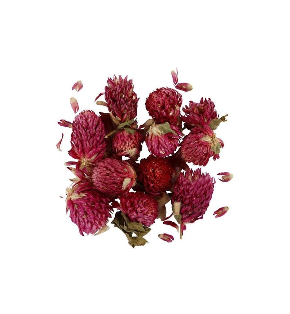 CREATIV COMPANY - Blüten 15 g, Rotes Kleeblatt