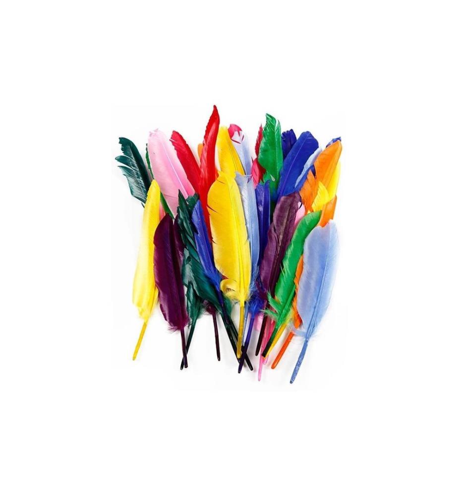 CREATIV COMPANY - Plumes 17 - 20 cm 250 pièces