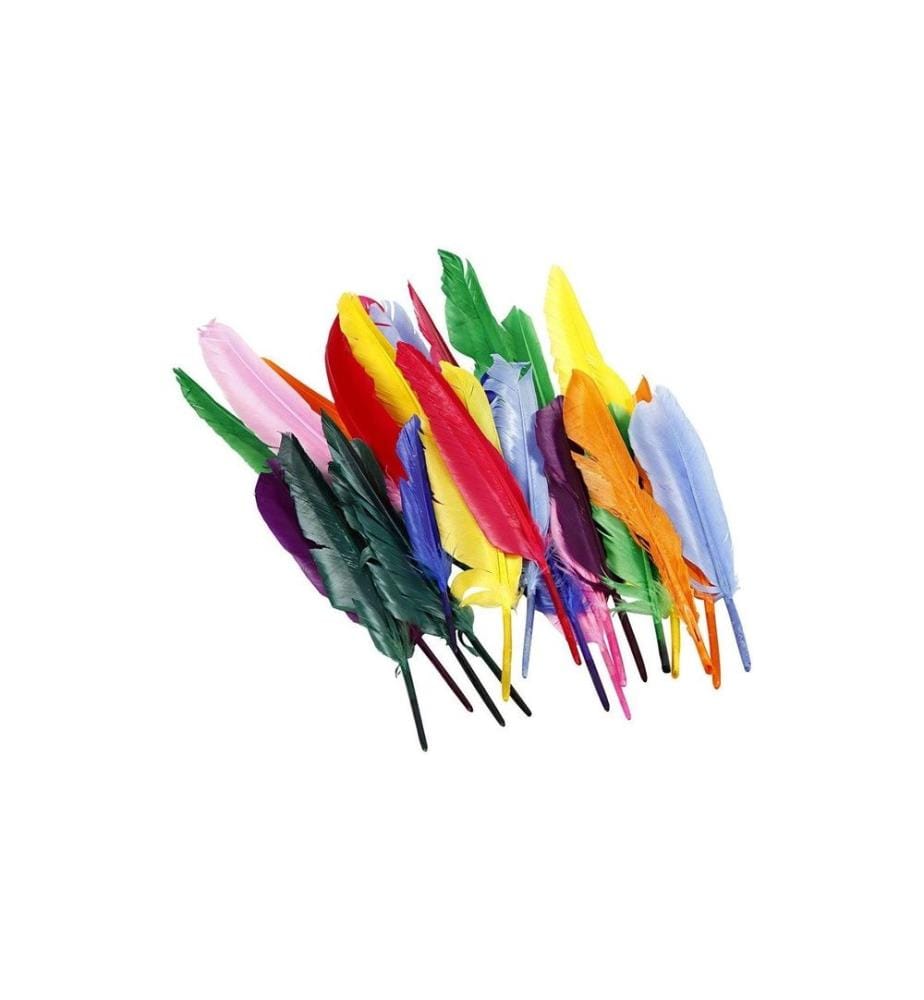 CREATIV COMPANY - Plumes 17 - 20 cm 250 pièces