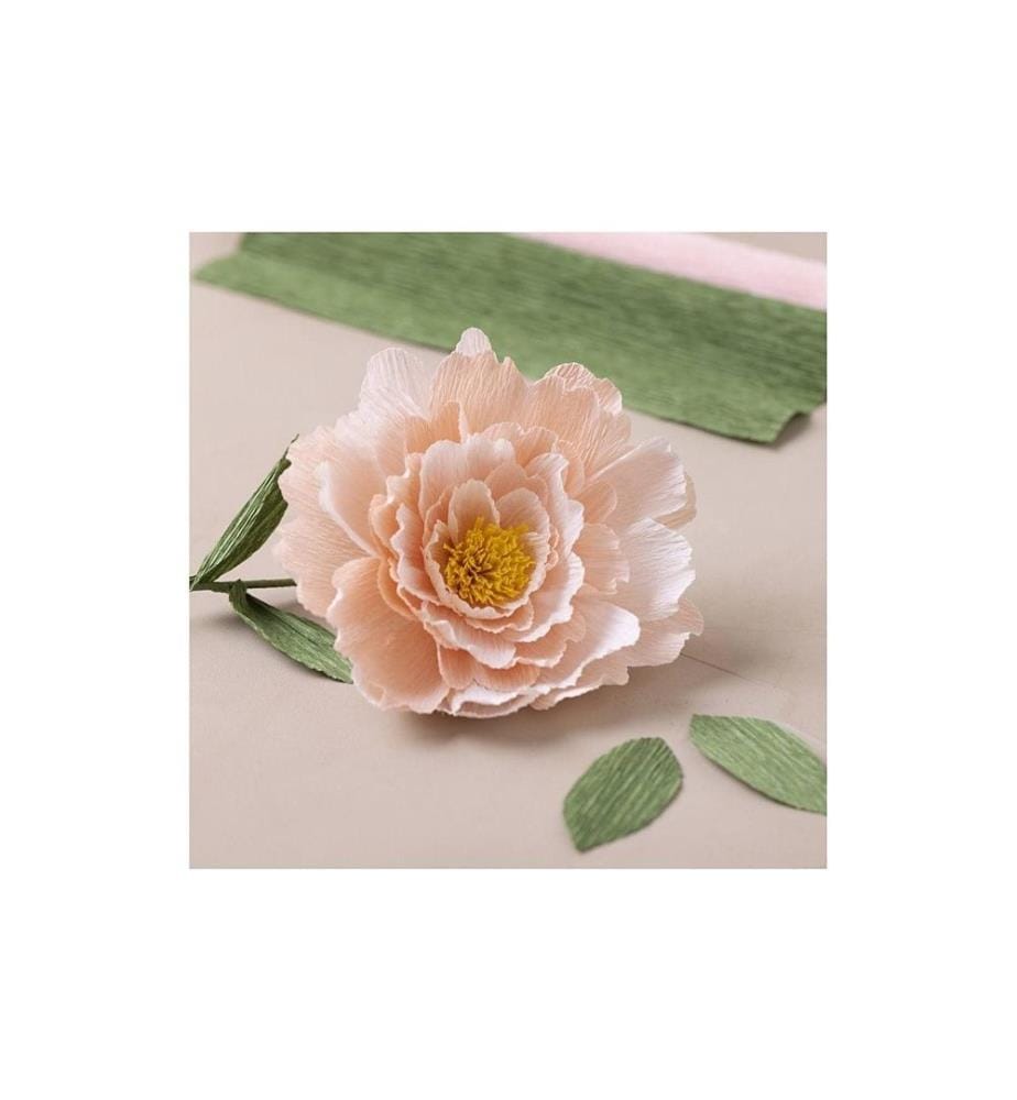 CREATIV COMPANY - Bastelset Krepppapier-Set Pfingstrose
