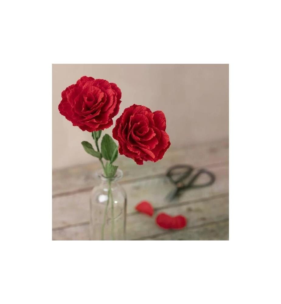 CREATIV COMPANY - Kits de bricolage Set de papier crépon Roses