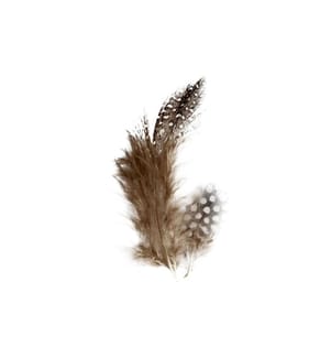 CREATIV COMPANY - Plumes Pintade 100 pièces, Brun