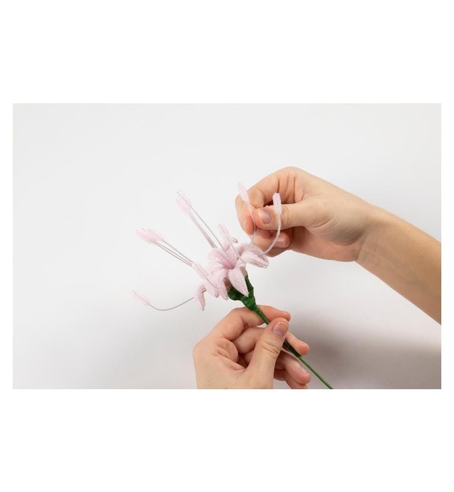 CREATIV COMPANY - Kits de bricolage Lis d'araignée, fil chenille Mini