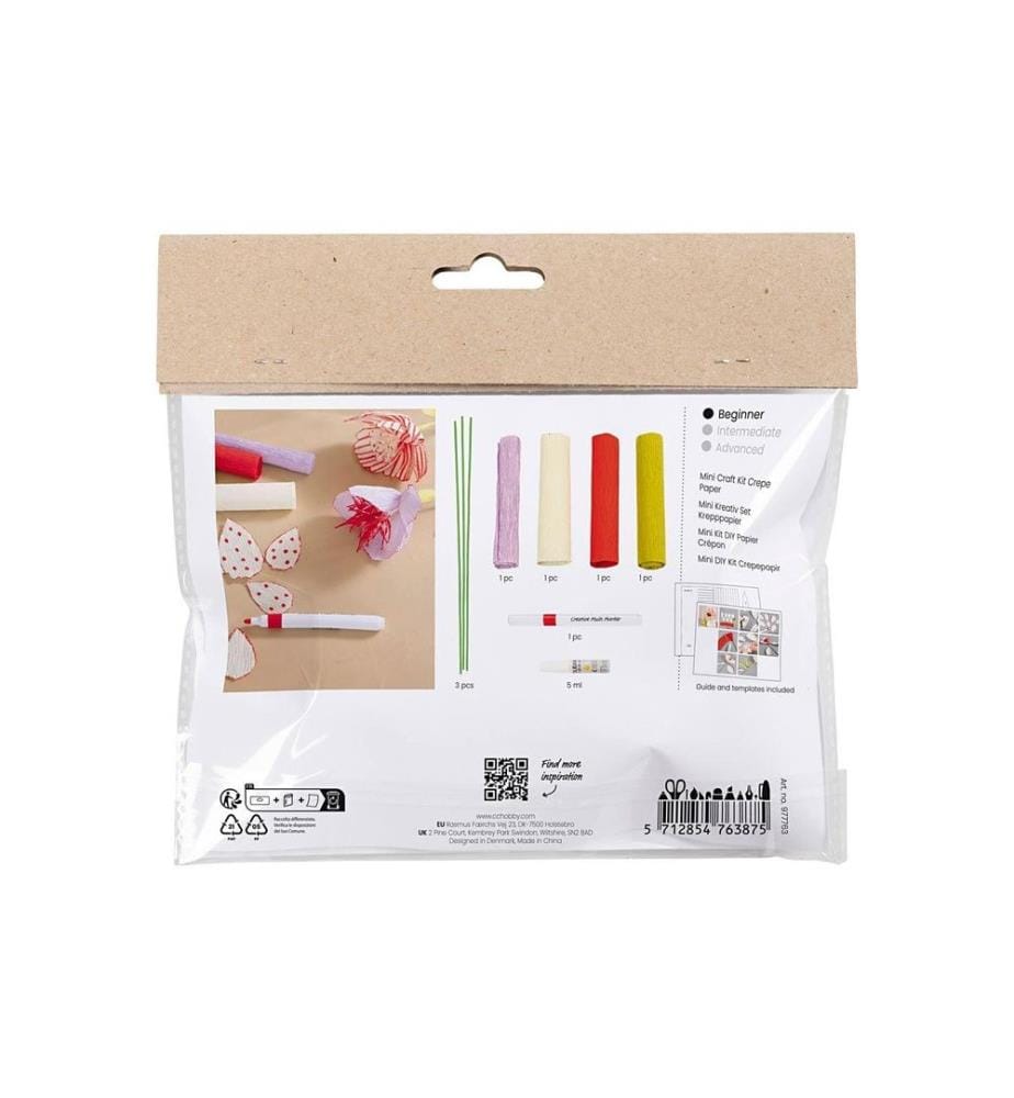 CREATIV COMPANY - Kits de bricolage Fleurs, papier crêpé Mini