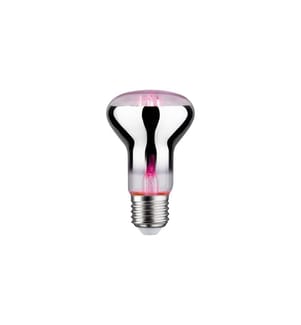 PAULMANN - Ampoules Grow Green R63 E27, 6.5 W