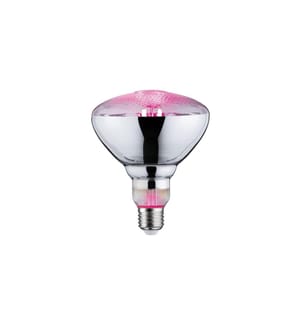 PAULMANN - Ampoules Grow Green PAR38 E27, 6.5 W