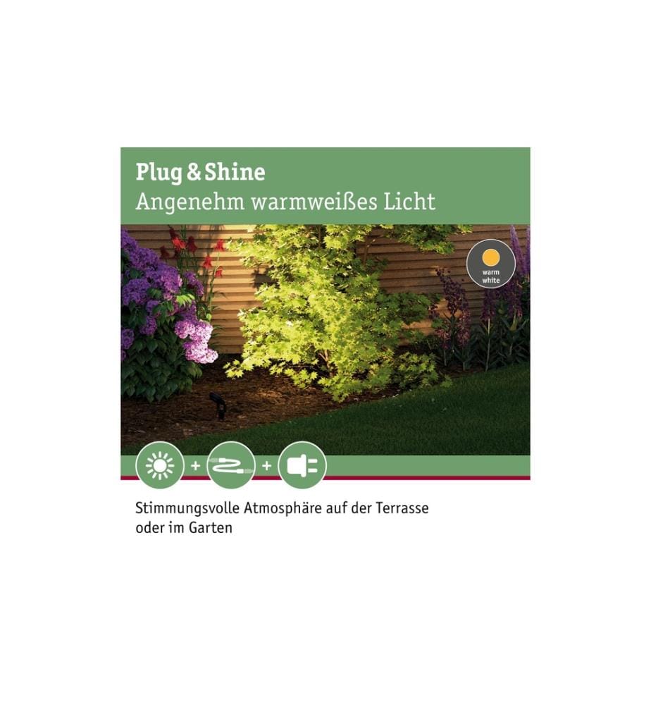 PAULMANN - Gartenspot Plug & Shine Sting 100° 3000 K, Basisset