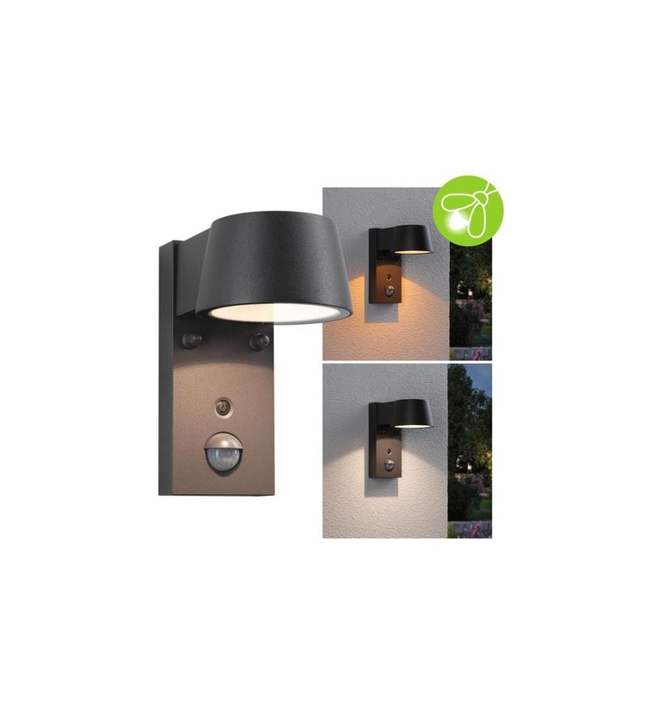 PAULMANN - Lampe murale Capea 230 V Anthracite
