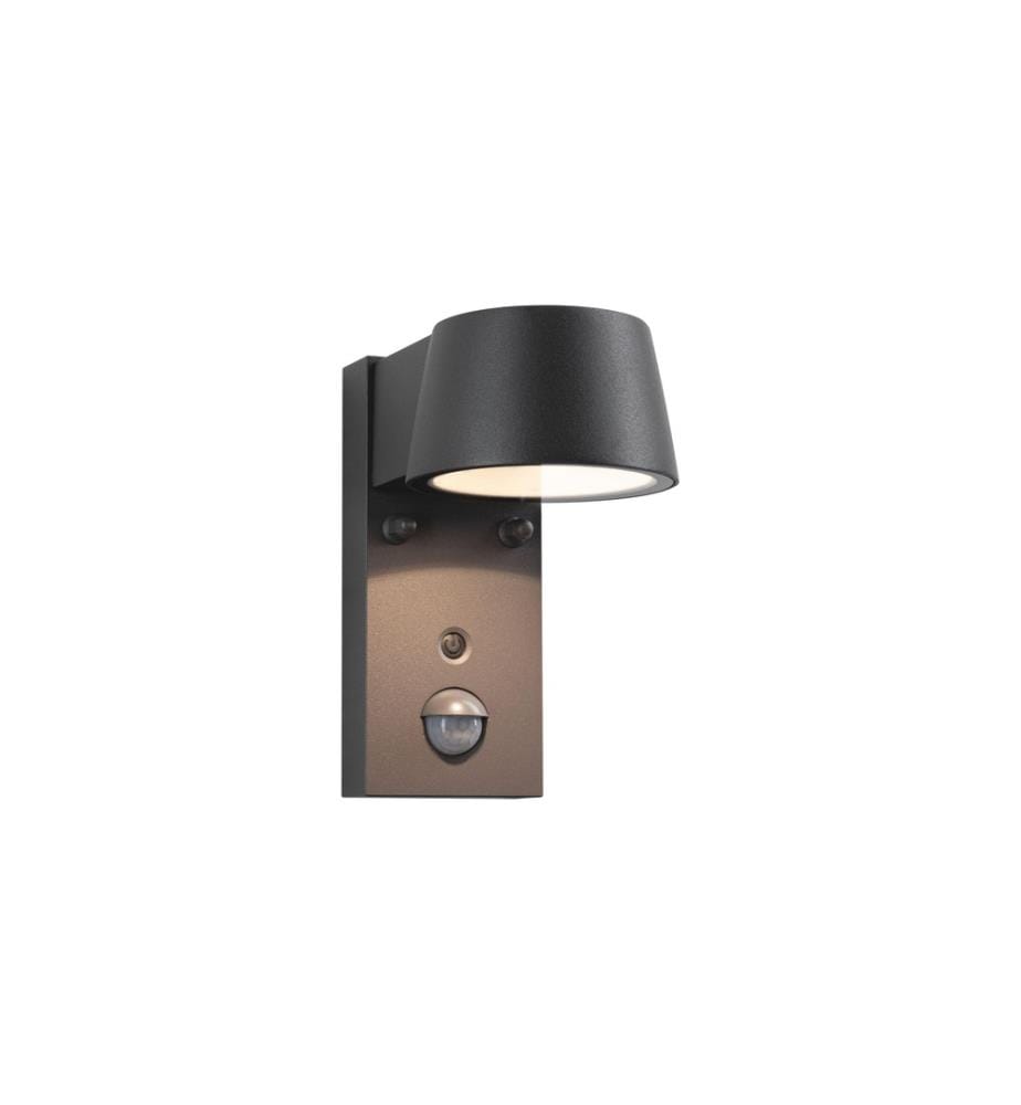 PAULMANN - Lampe murale Capea 230 V Anthracite