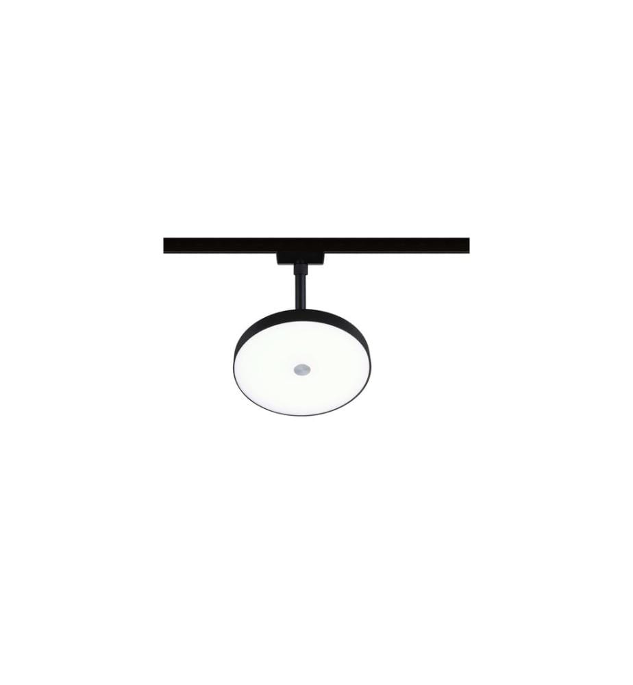 PAULMANN - URail LED Spot sur rail Hildor 4000K, 15W, noir