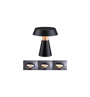 PAULMANN - Lampe à piles Lirox 1800K - 2700K Noir Champagne
