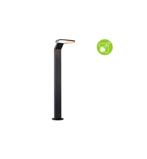 Paulmann Sockelleuchte LED Zenera, 10W, 2200K, Anthrazit