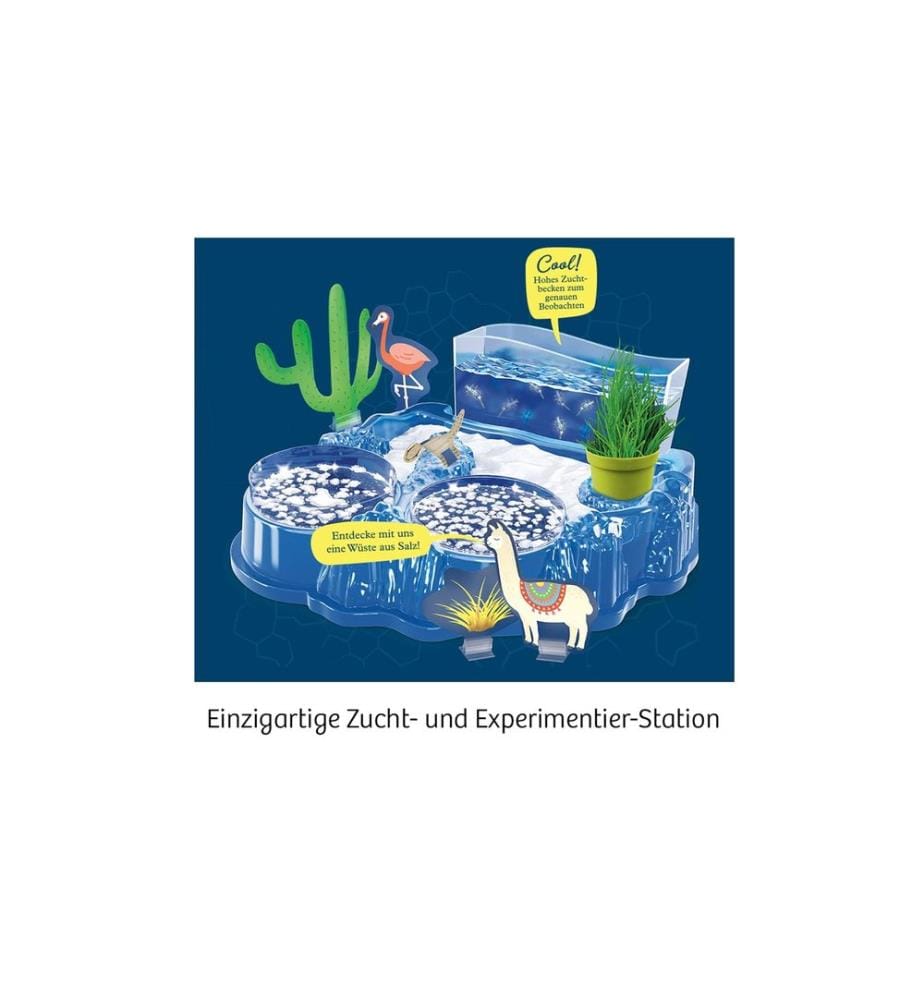KOSMOS - Boîtes d'expérimentation Salzkrebse