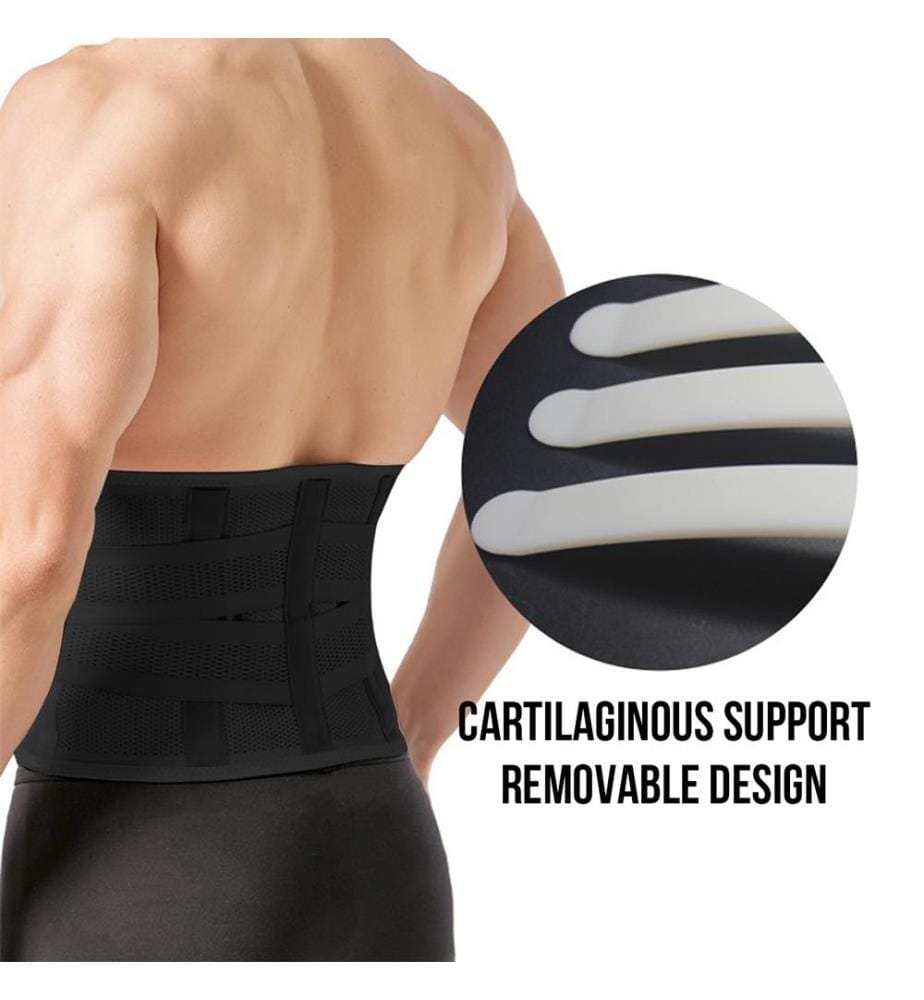 Support Belt