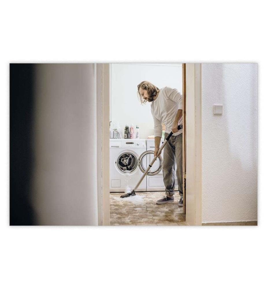 Aspirateur Eau et Poussières WD 6 P S V-30/8/22/T Renovation