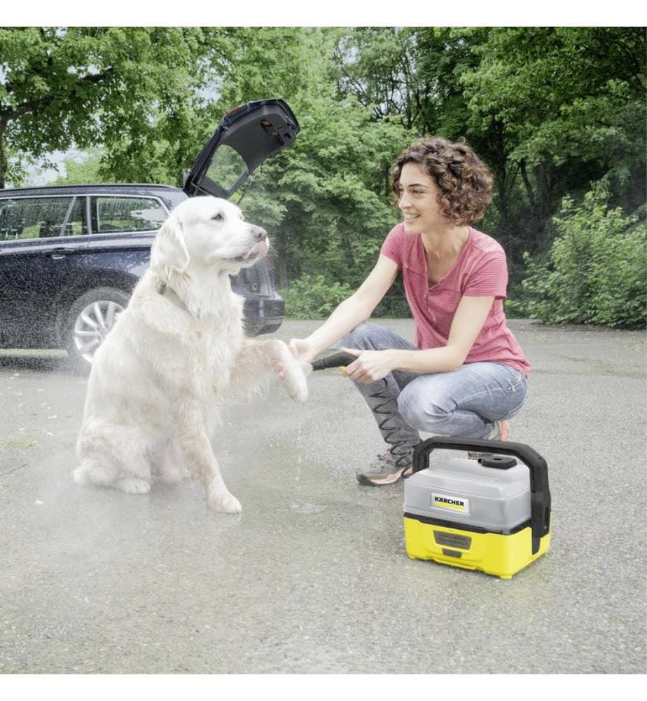 Brosse pour Animaux
