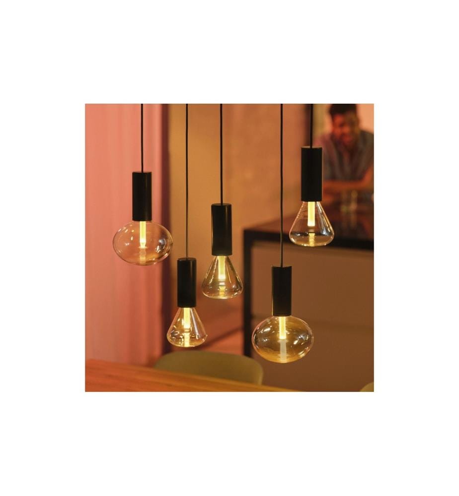 PHILIPS HUE - White & Color Ambiance Lightguide Globe 95 E27