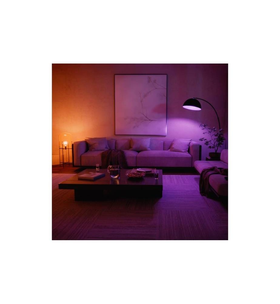 PHILIPS HUE - Ampoule White & Col. Amb. pack double E27 2x 1100 lm