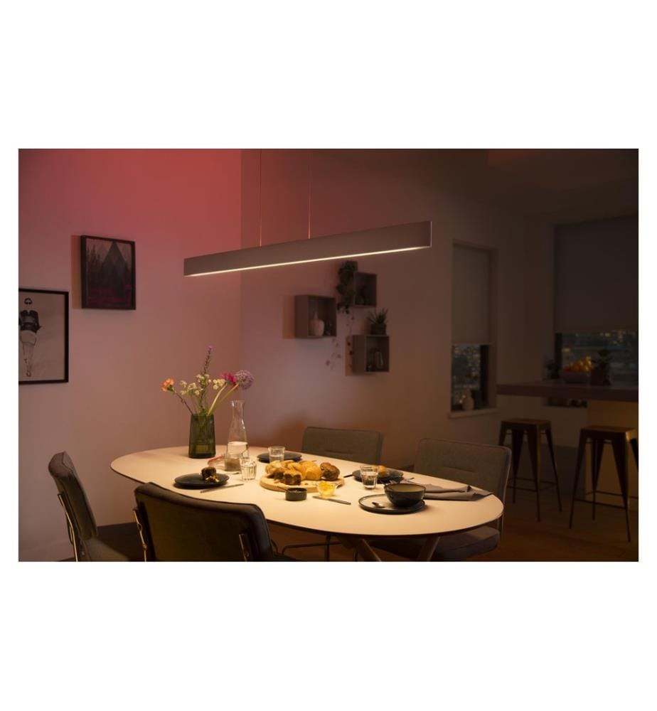 Philips Hue White Col. Amb. Ensis Pendelleuchte Weiss und DimmSwitch