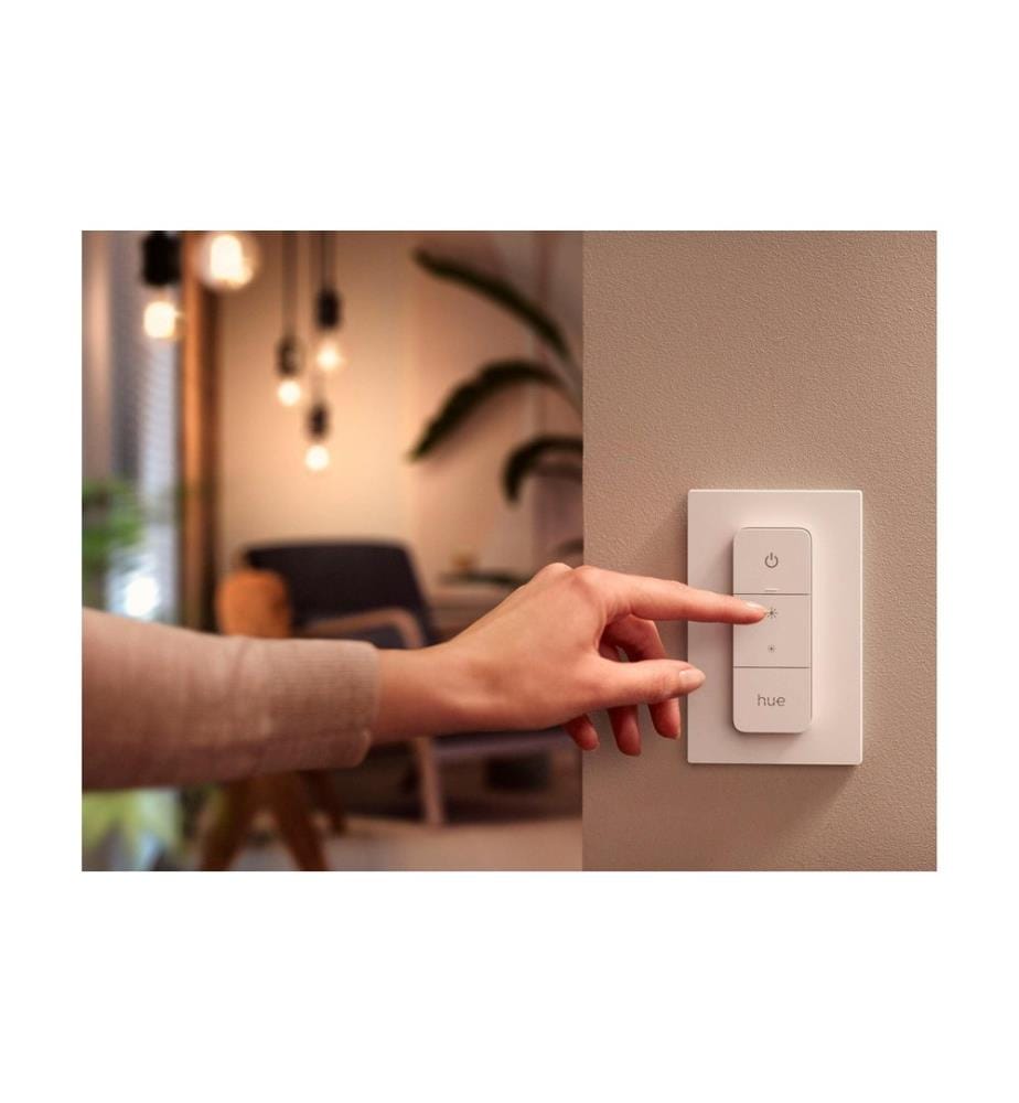 Philips Hue White Col. Amb. Ensis Pendelleuchte Weiss und DimmSwitch