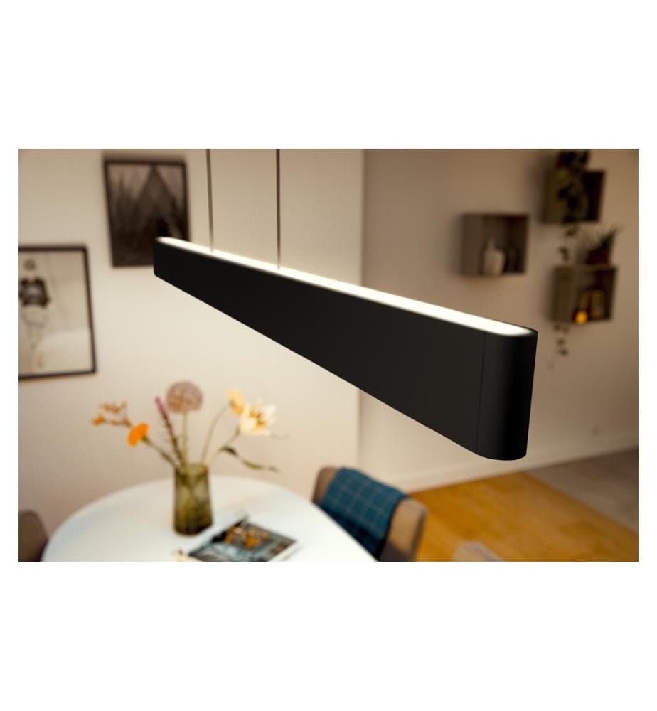 Philips Hue White Col. Amb. Ensis Pendelleuchte Schwarz und DimmSwitch