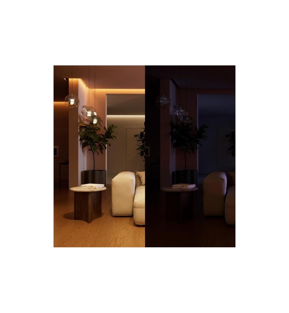 Philips Hue Hue wired switch 6A, für konventionelle Lampen, 1-Kanal