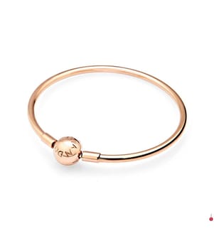 Bangle Moments Noeud Délicat - Silver