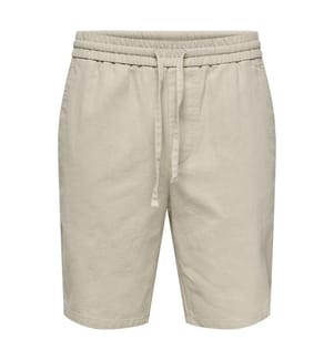 Shorts - Das Silberne Futter