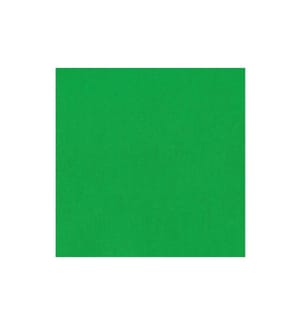 HAMA - Fond Tissu, 2.95 x 6 m Vert