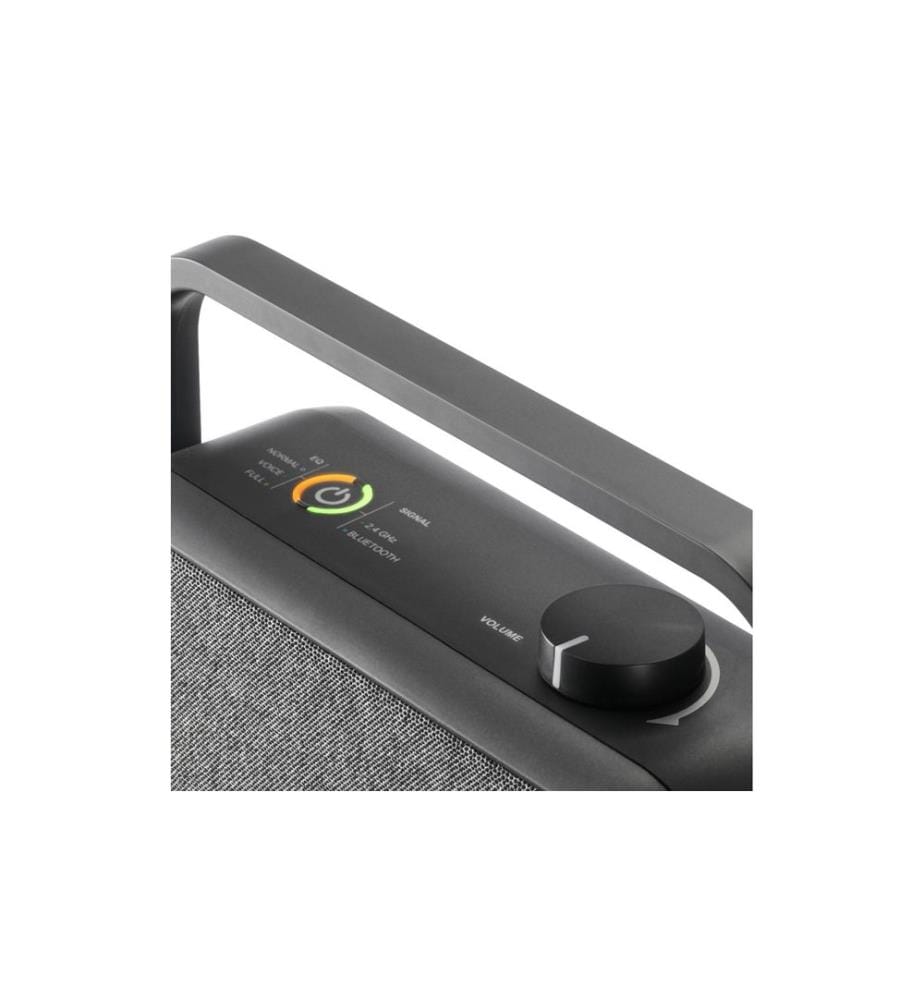 HAMA - Haut-parleur portable, TV, station 2.4 GHz, Bluetooth, stéréo