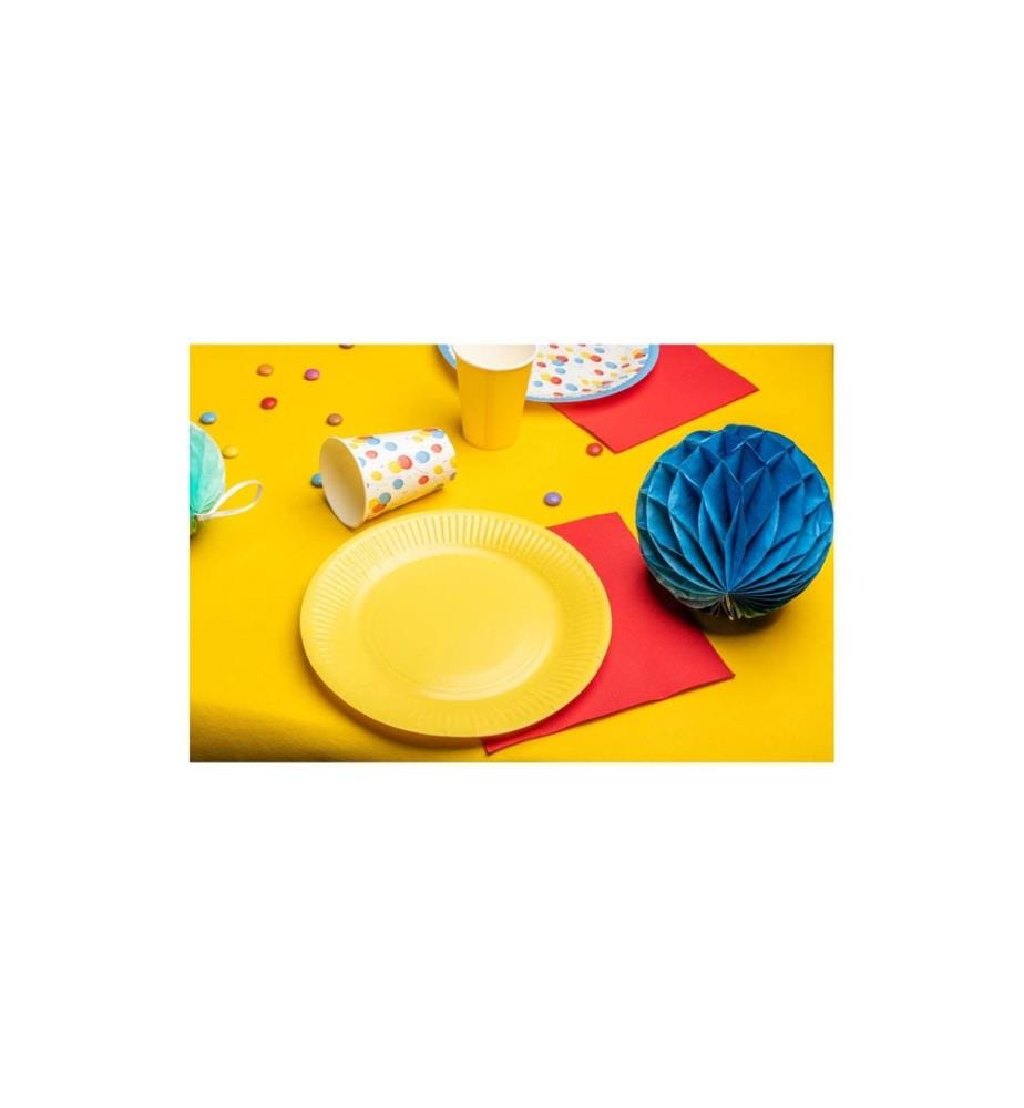 PRO nappe - Einwegteller Geburtstag 10 Stück, Mehrfarbig