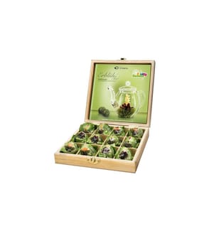 Creano - Erblühtee grüner Tee fruity flavor 12er Holzbox