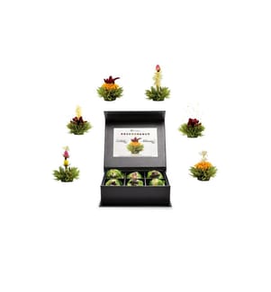 Creano - Erblühtee grüner Tee fruity flavor 6er Magnetbox