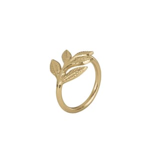 EGLO - Serviettenring Janapur 5.5 x 4.3 cm, Gold
