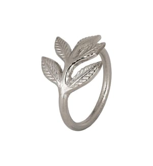 EGLO - Serviettenring Janapur 5.5 x 4.3 cm, Silber