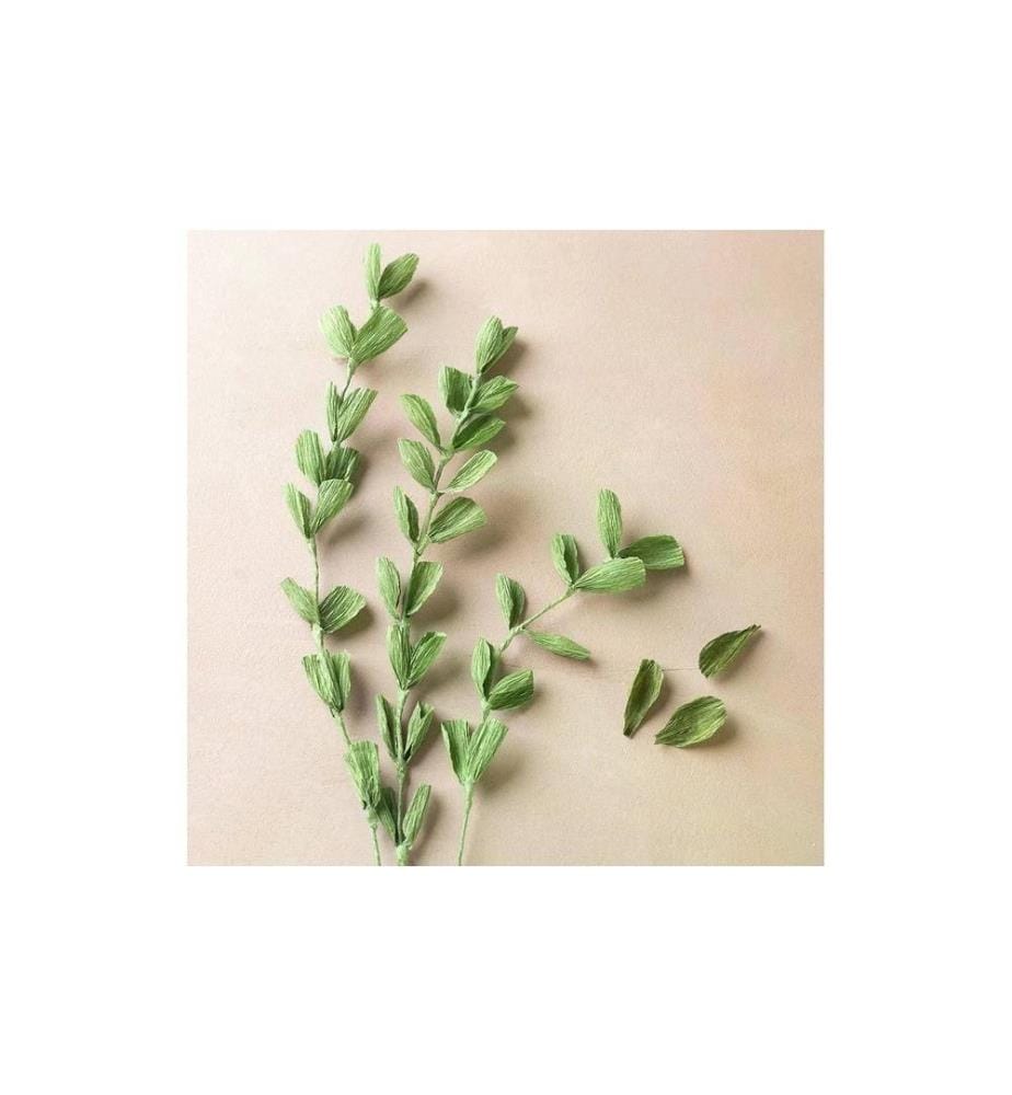 CREATIV COMPANY - Papier crêpe 25 x 60 cm, 3 rouleaux, vert tilleul