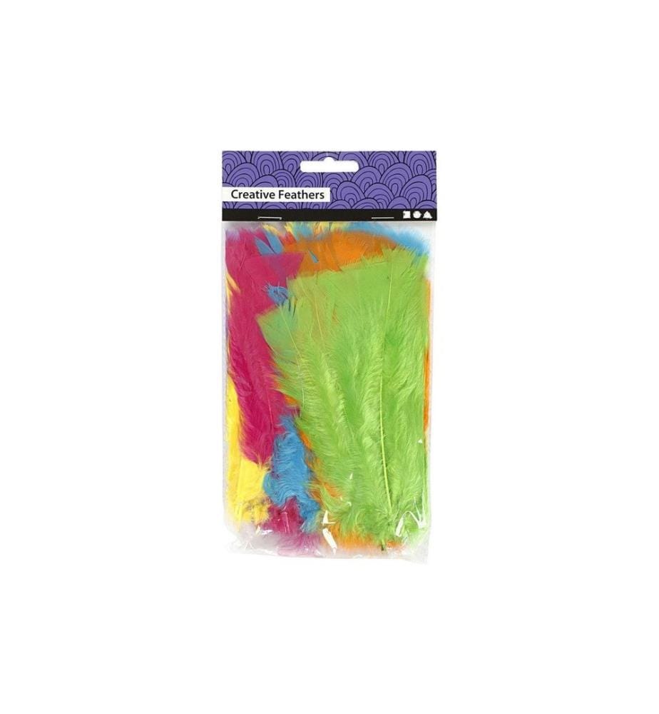 CREATIV COMPANY - Plumes Multicolore, 18 Pièce/s