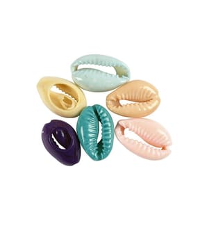 CREATIV COMPANY - Perlen Muscheln, 20 mm, bunt, 6 Stk.