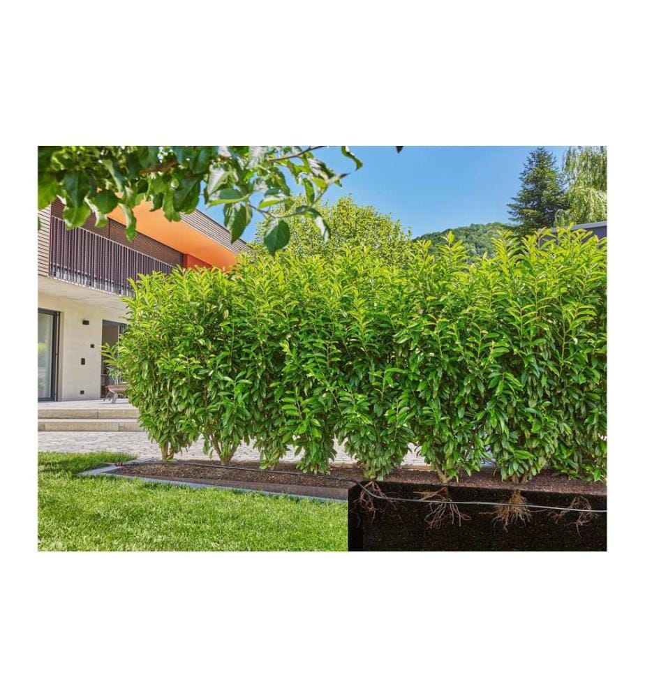 GARDENA Tuyau goutte à goutte 1.6 l/h 50M Système Micro-Drip