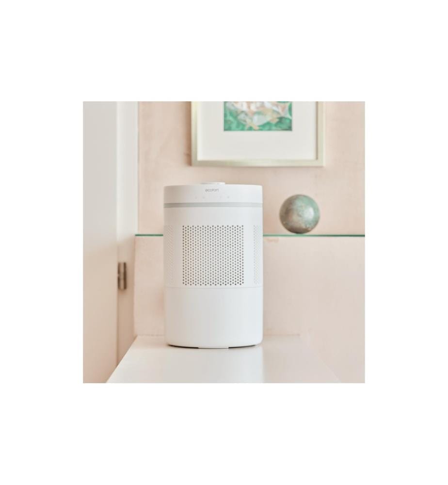 Ecofort - Luftbefeuchter ecoQ HumidAir E300