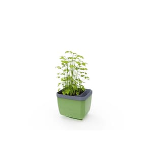 GUSTA GARDEN - HERBS BUDDY Kräutertopf Dunkelgrün