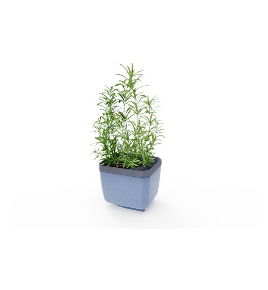 GUSTA GARDEN - HERBS BUDDY Kräutertopf Blau