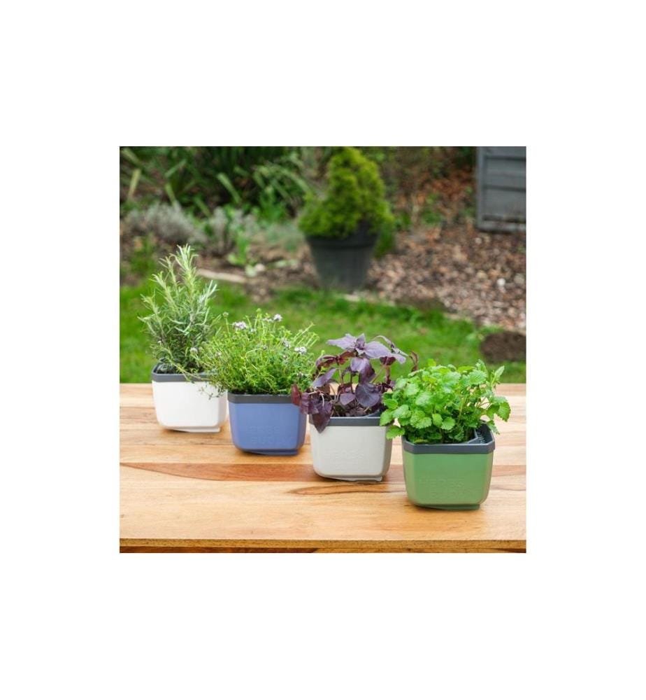 GUSTA GARDEN - HERBS BUDDY Kräutertopf Blau