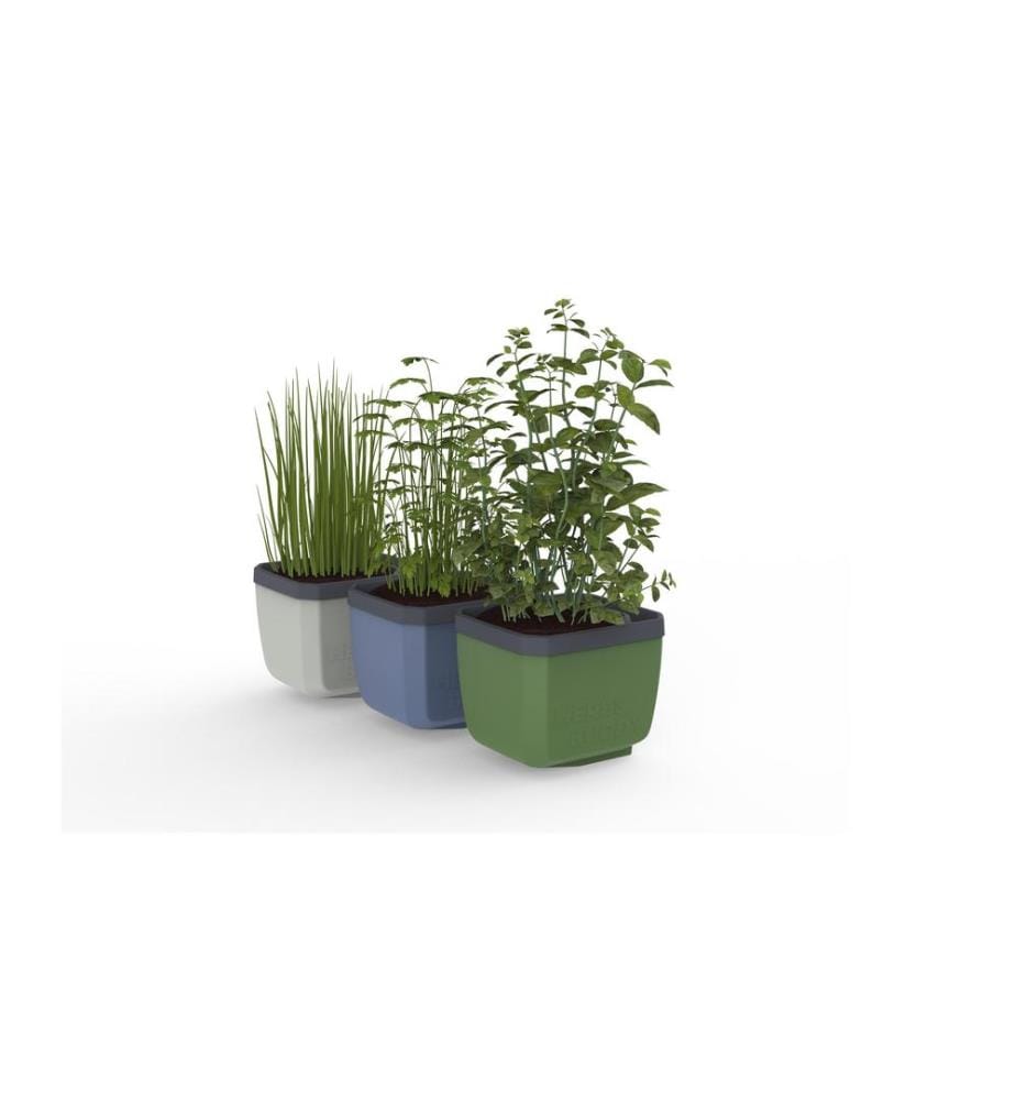 GUSTA GARDEN - HERBS BUDDY Kräutertopf 3er Set Weiss